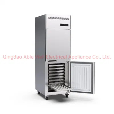 Commercial Restaurant Hotel Bakery Kitchen Stainless Steel Trays Refrigerator Low Temperature Freezer