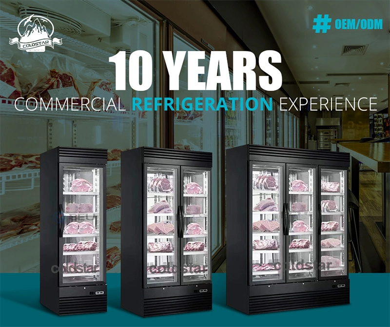 Dry Age Fridge Beef Ager Commercial Salami Aging Fridge Dry Cure Meat Refrigeration Cheese Display Refrigerator