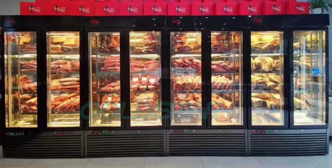 Commercial Double Door Vertical Meat Dry Aging Refrigerator