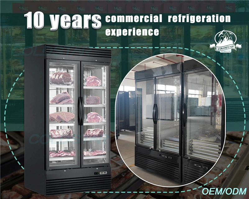 Double Door Heated Glass Storage Cabinet Beef Aging Dry Meat Refrigerator