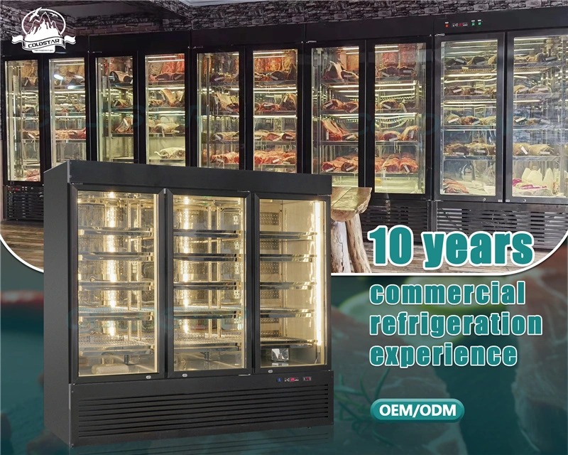 Commercial Double Door Vertical Meat Dry Aging Refrigerator