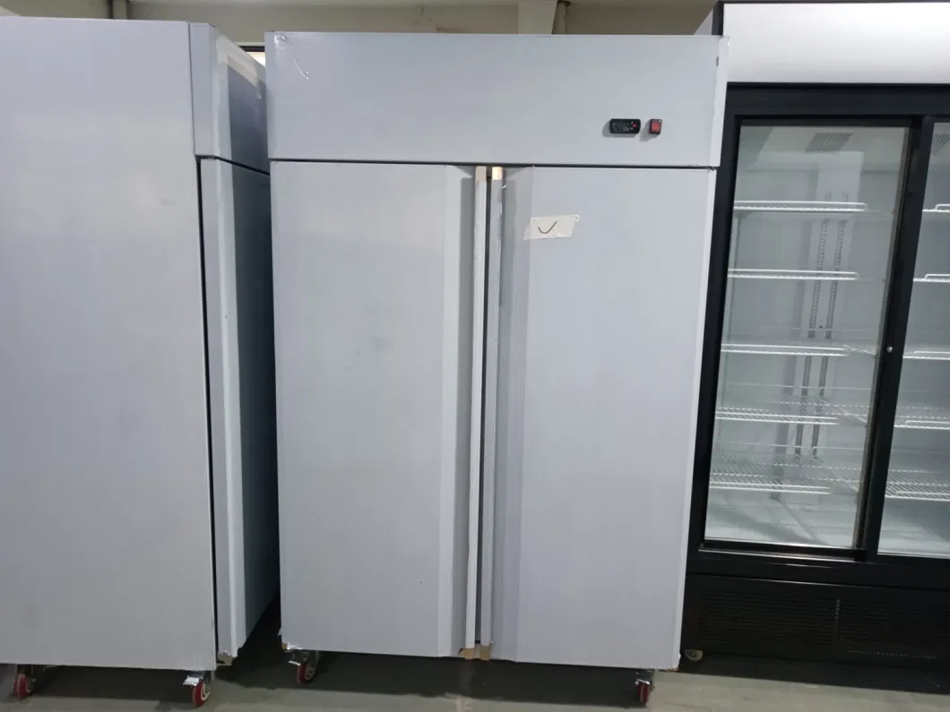 Restaurant Double Doors Stainless Steel Kitchen Chiller Refrigerator Vertical Standing Freezer