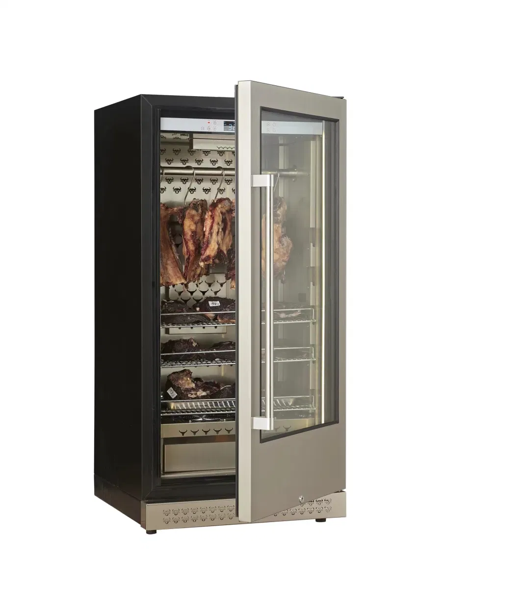 Hotsale Wholesale Commercial Dry Aging Hanging Meat Aging Refrigerator Meat Ager