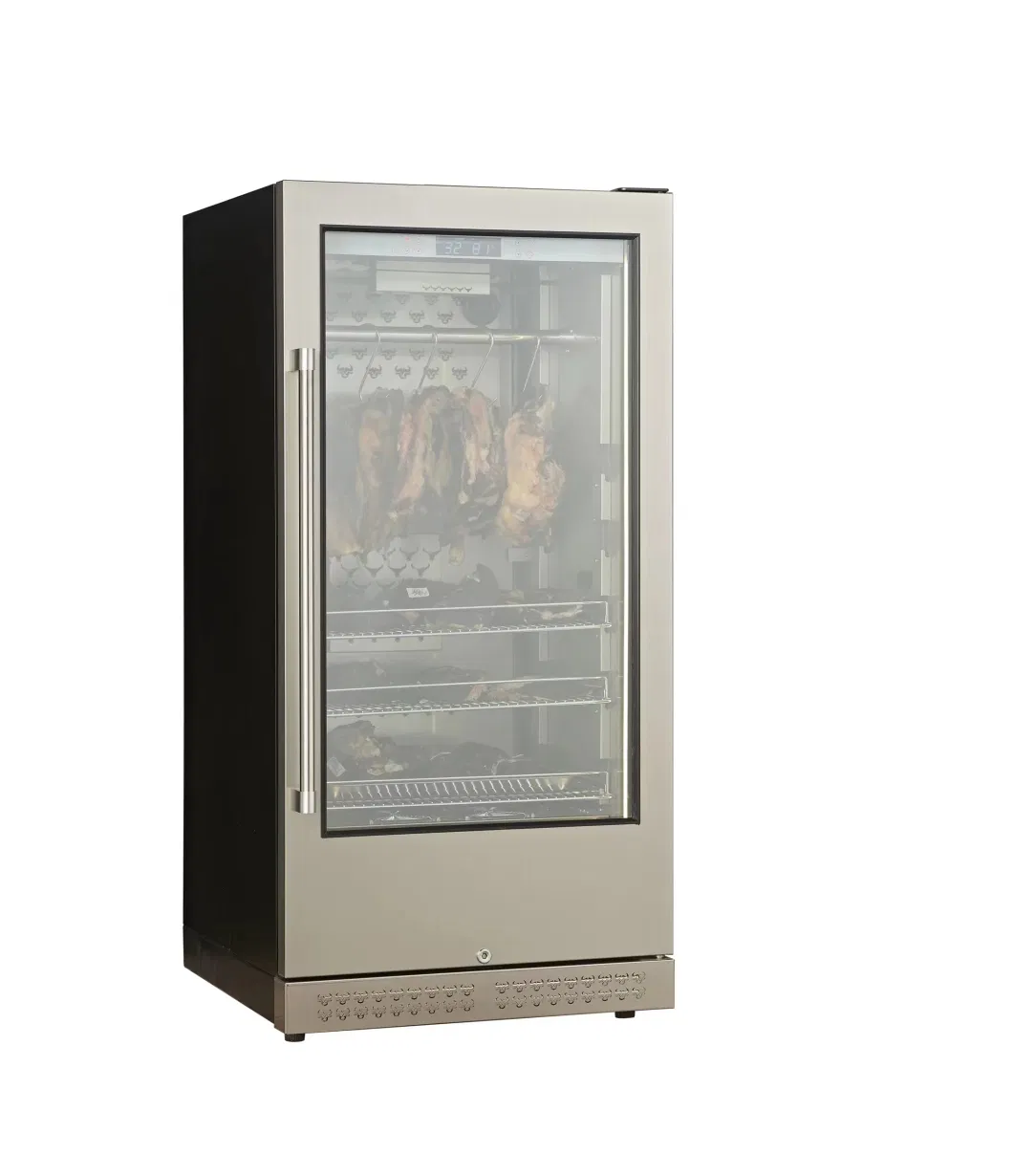 Hotsale Wholesale Commercial Dry Aging Hanging Meat Aging Refrigerator Meat Ager