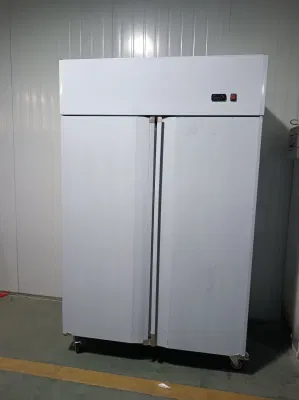 Restaurant Double Doors Stainless Steel Kitchen Chiller Refrigerator Vertical Standing Freezer